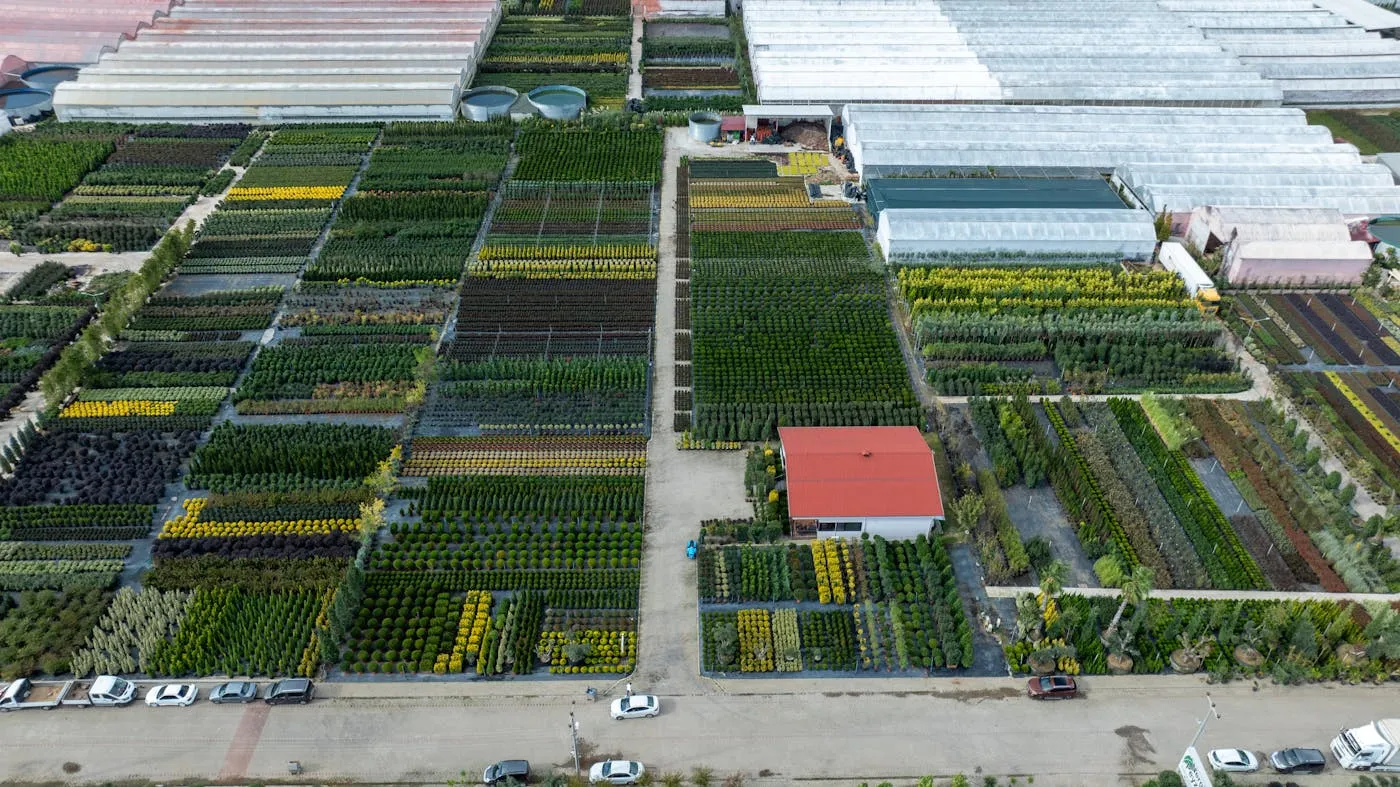 Aerial view of a large plant nursery